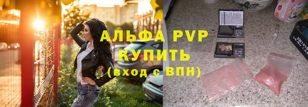 гашик Михайловск