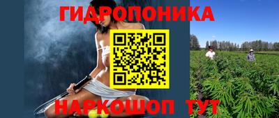spice Кинель