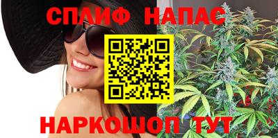 spice Кинель