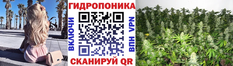 как найти закладки  Челябинск  Конопля конопля 